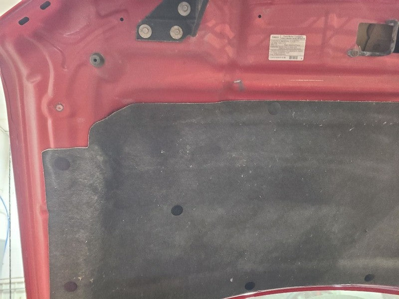Hood Fits 09-14 FORD F150 PICKUP 665824