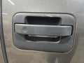 Passenger Door Handle Exterior Door Rear Fits 04-14 FORD F150 PICKUP 6