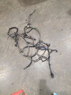 SILVRDO15 2014 Lamp Wiring Harness 670287