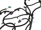 H3        2006 Lamp Wiring Harness 645083