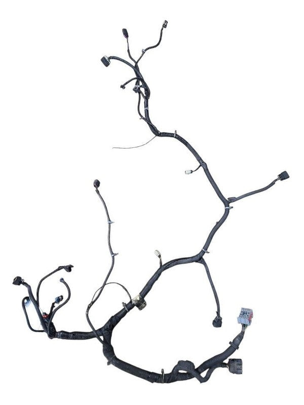 ESCALAESV 2010 Lamp Wiring Harness 645314