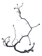 ESCALAESV 2010 Lamp Wiring Harness 645314