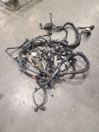 DAKOTA    2002 Engine Wire Harness 663313