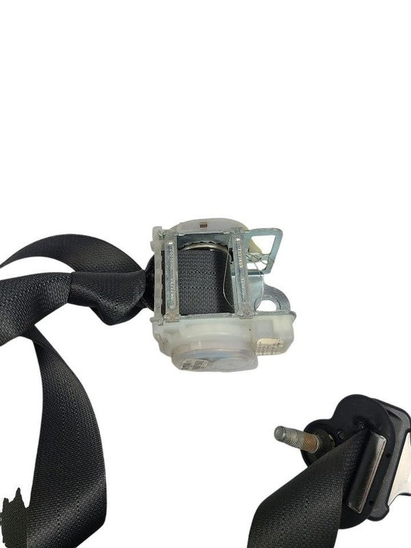 CHALLENGE 2012 Seat Belt Rear 602314
