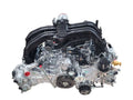 OUTBAKLEG 2024 Engine 608506