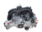 OUTBAKLEG 2024 Engine 608506