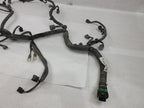 OUTBAKLEG 2015 Engine Wire Harness 552583