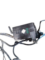 TACOMA    1996 Lamp Wiring Harness 639456