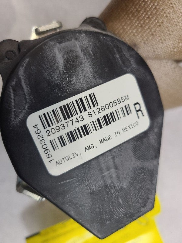 ENCLAVE   2011 Seat Belt Rear 605590