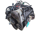 Engine 4.3L VIN W 8th Digit 6-262 ID Aba Fits 96-99 EXPRESS 1500 VAN 6