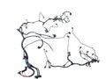 X4        2016 Engine Wire Harness 636818