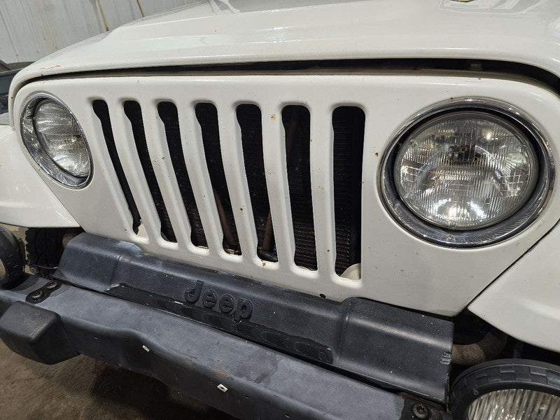 Grille Fits 97-06 WRANGLER 612654