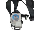 ELANTRA   2015 Seat Belt Rear 591150