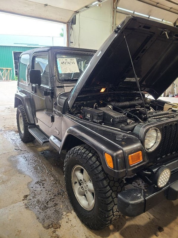 Radiator Fits 97-06 WRANGLER 668946