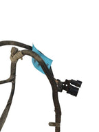 BRONCO    1992 Transmission Wire Harness 648935