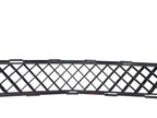 Grille Lower Fits 08-12 ENCLAVE 657306