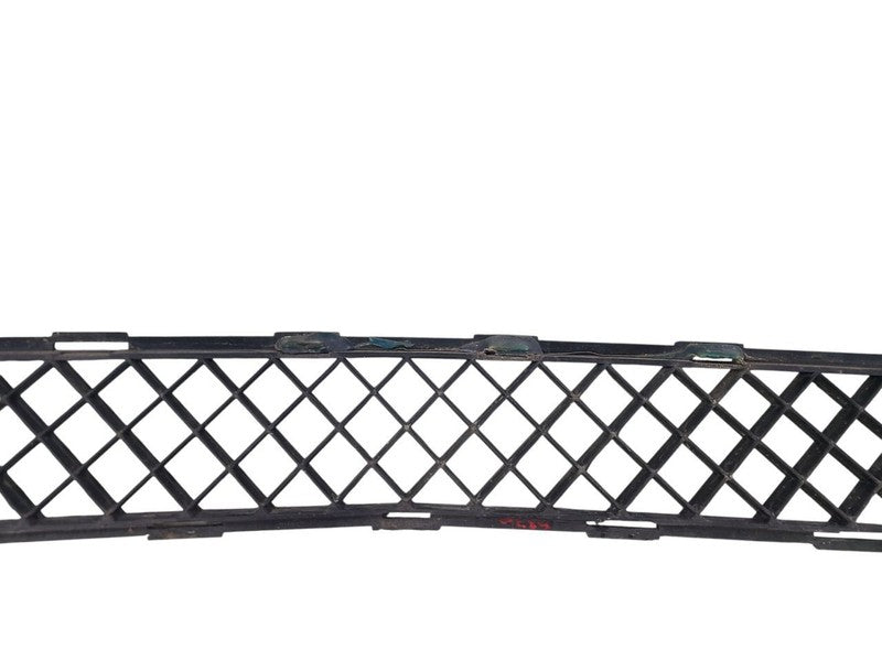 Grille Lower Fits 08-12 ENCLAVE 657306