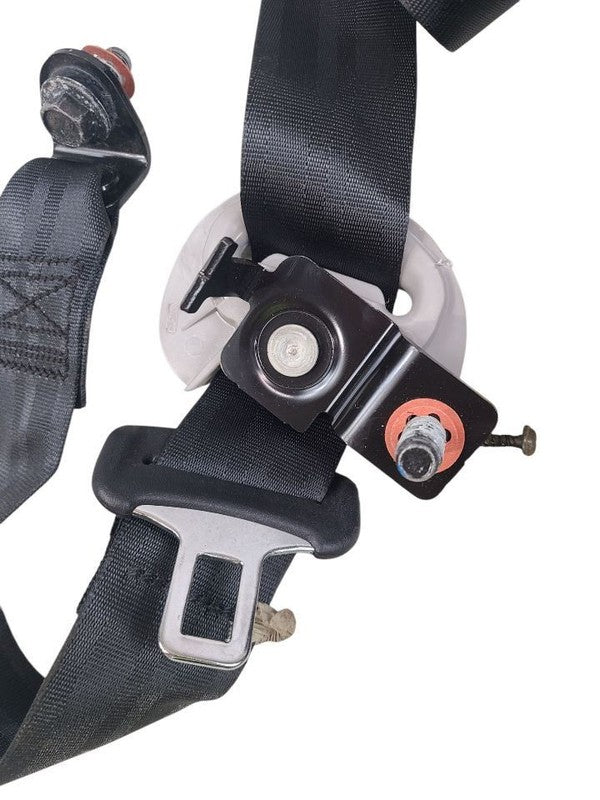 SPORTAGE  2020 Seat Belt Rear 628019