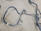 ESCALAEXT 2011 Transmission Wire Harness 676761