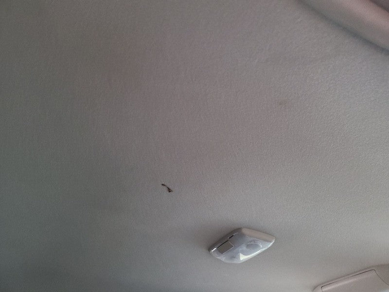 TUNDRA    2010 Headliner 672618