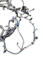 TACOMA    2017 Engine Wire Harness 667314