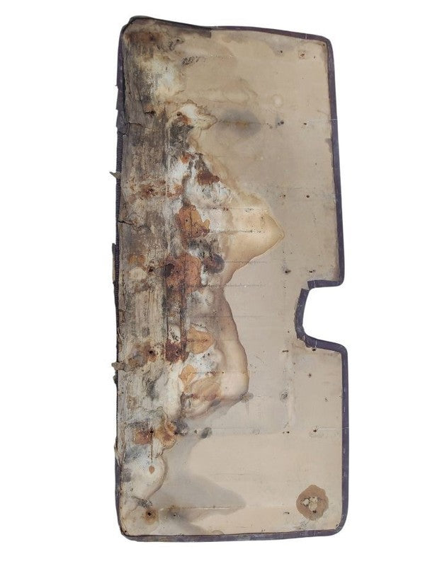 GRAND-WAG 1991 Door Trim Panel Rear 678977