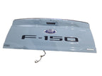 Trunk/Hatch/Tailgate With Tailgate Step Fits 21-25 FORD F150 PICKUP 67
