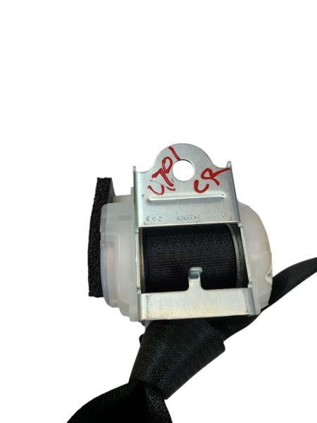 CHARGER   2019 Seat Belt Rear 592074