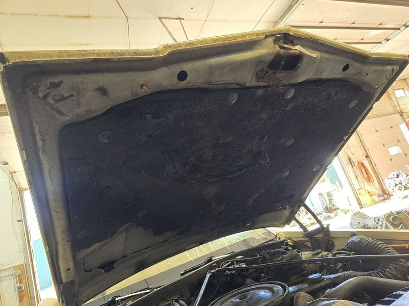 Hood Fits 77-79 OLDSMOBILE 647875