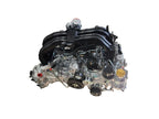 OUTBAKLEG 2024 Engine 608506