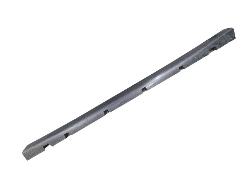 CHARGER   2019 Rocker Panel Moulding 676168