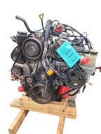 Engine 3.7L VIN K 8th Digit Fits 04 DAKOTA 660150