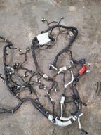 ESCAPE    2022 Engine Wire Harness 615125