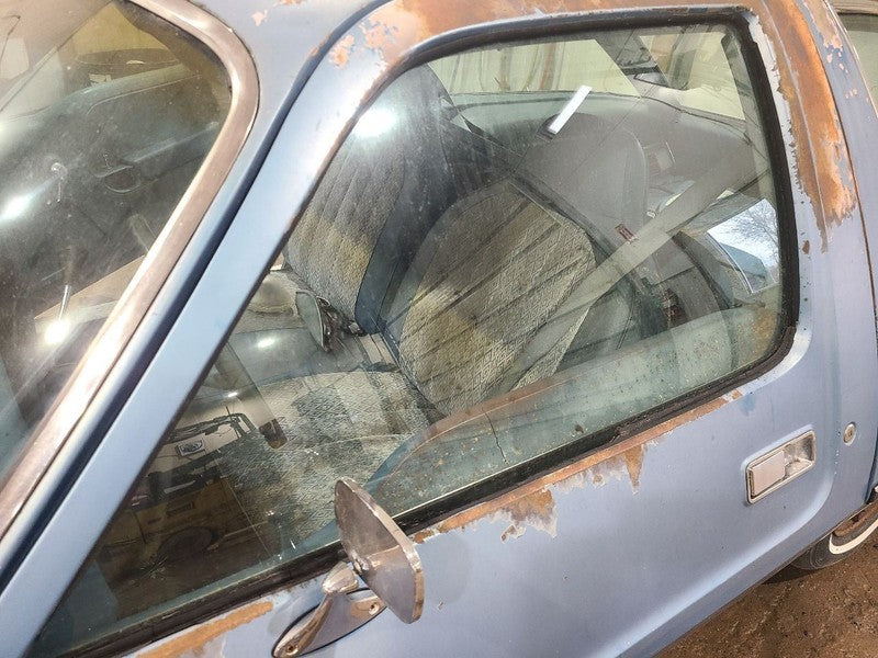 Driver Left Front Door Glass Without Vent Fits 75-80 PACER 661308