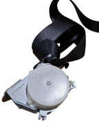 EDGE      2014 Seat Belt Rear 625791