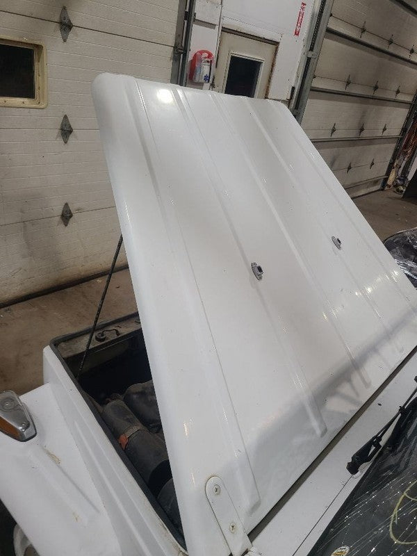 Hood Fits 73-75 THING 650263
