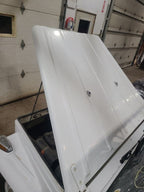 Hood Fits 73-75 THING 650263