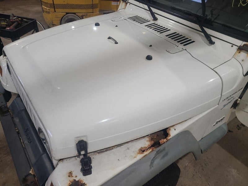 Hood Fits 97-06 WRANGLER 658101