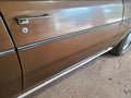 DART      1975 Door Moulding Front 668124