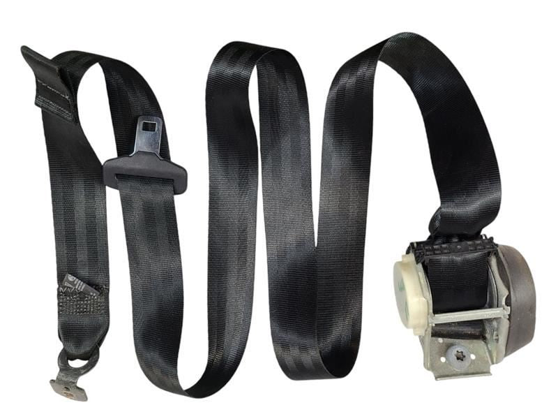 FOCUS     2017 Seat Belt Rear 601039