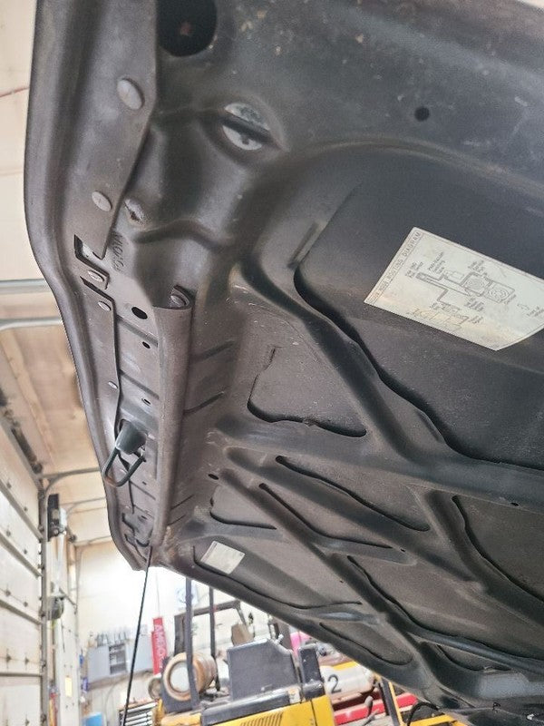 Hood Fits 01-04 TACOMA 679522