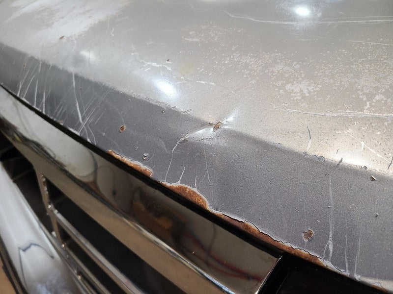 Hood From 8501 GVW Fits 92-97 FORD F250 PICKUP 664046