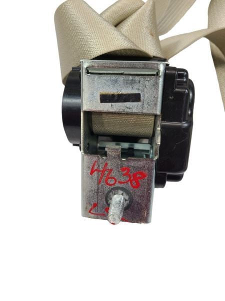 TAURUS    2015 Seat Belt Rear 585602