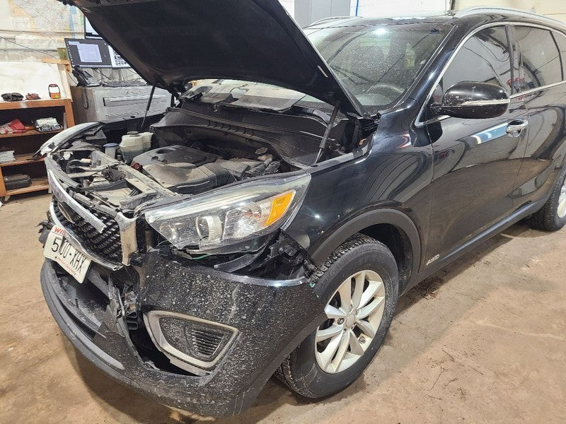 Passenger Rear Side Door Thru 06/03/18 Fits 16-19 SORENTO 655389