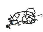 ESCALAESV 2017 Lamp Wiring Harness 590734
