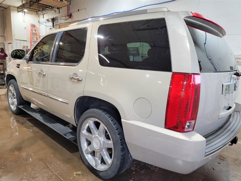 REAR ESCALADE  2008 2nd Row Passenger Side Retractor Seat Belt Rear 56