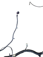 ESCALAESV 2010 Lamp Wiring Harness 645314