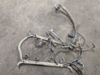 MISC      2000 Engine Wire Harness 243509