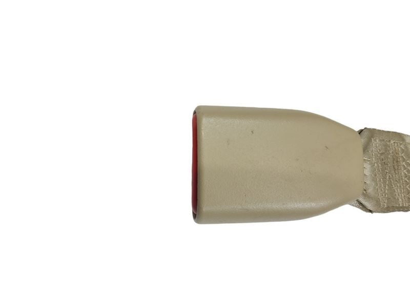 TAURUS    2015 Seat Belt Rear 585603
