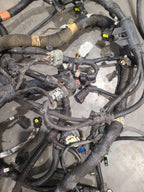 DAKOTA    2002 Engine Wire Harness 663313